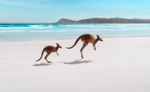 Cape Le Grand National Park