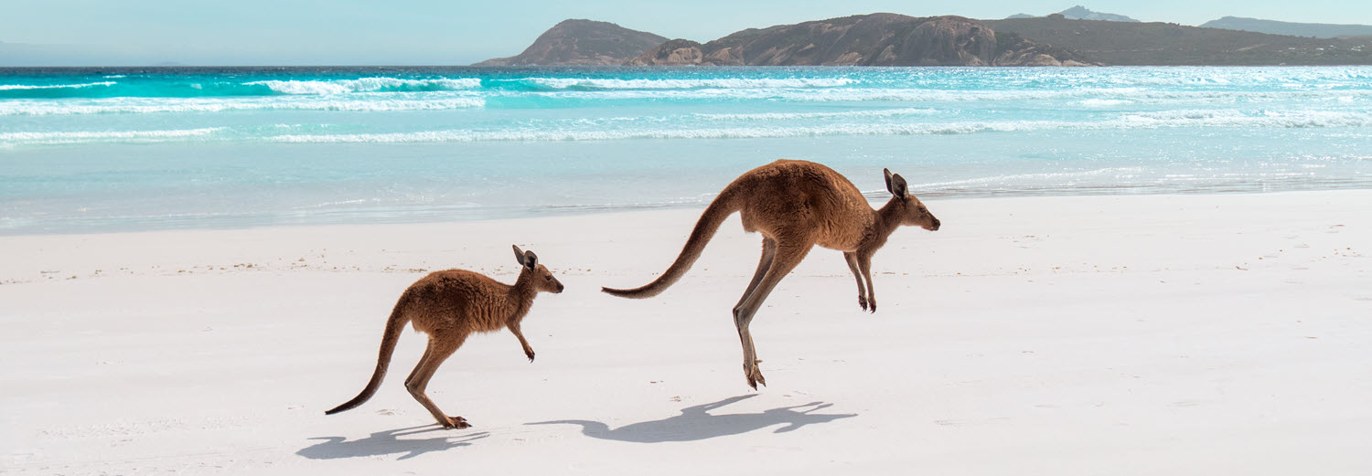 The Esperance Accommodation